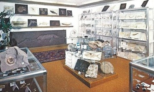 Fossiland_Geschichte