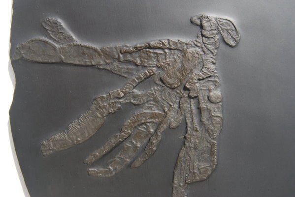 Ankauf_Bundenbach_Beispiel_02