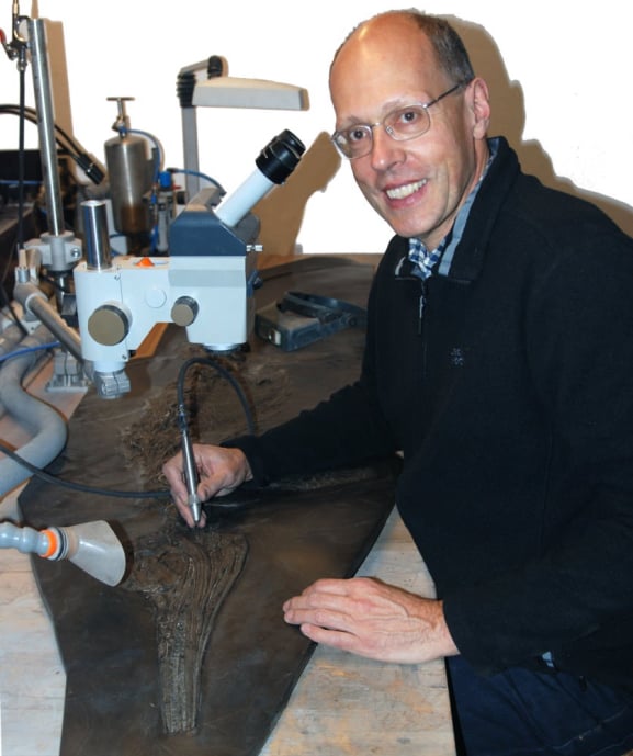 Fossilienexperte_Christoph Leins